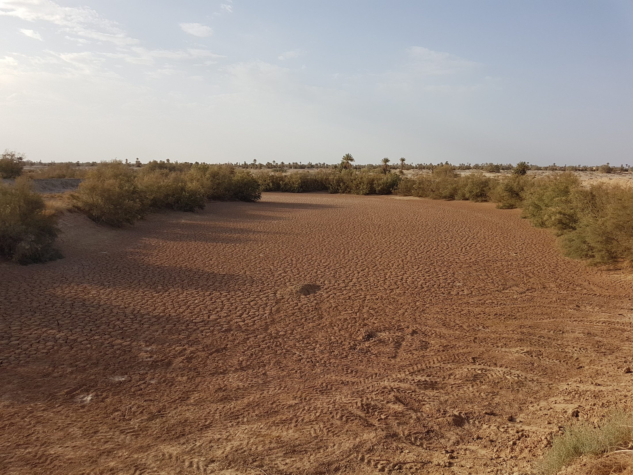 A wide dry riverbed of cracked red earth, with a line of palms on the far horizon